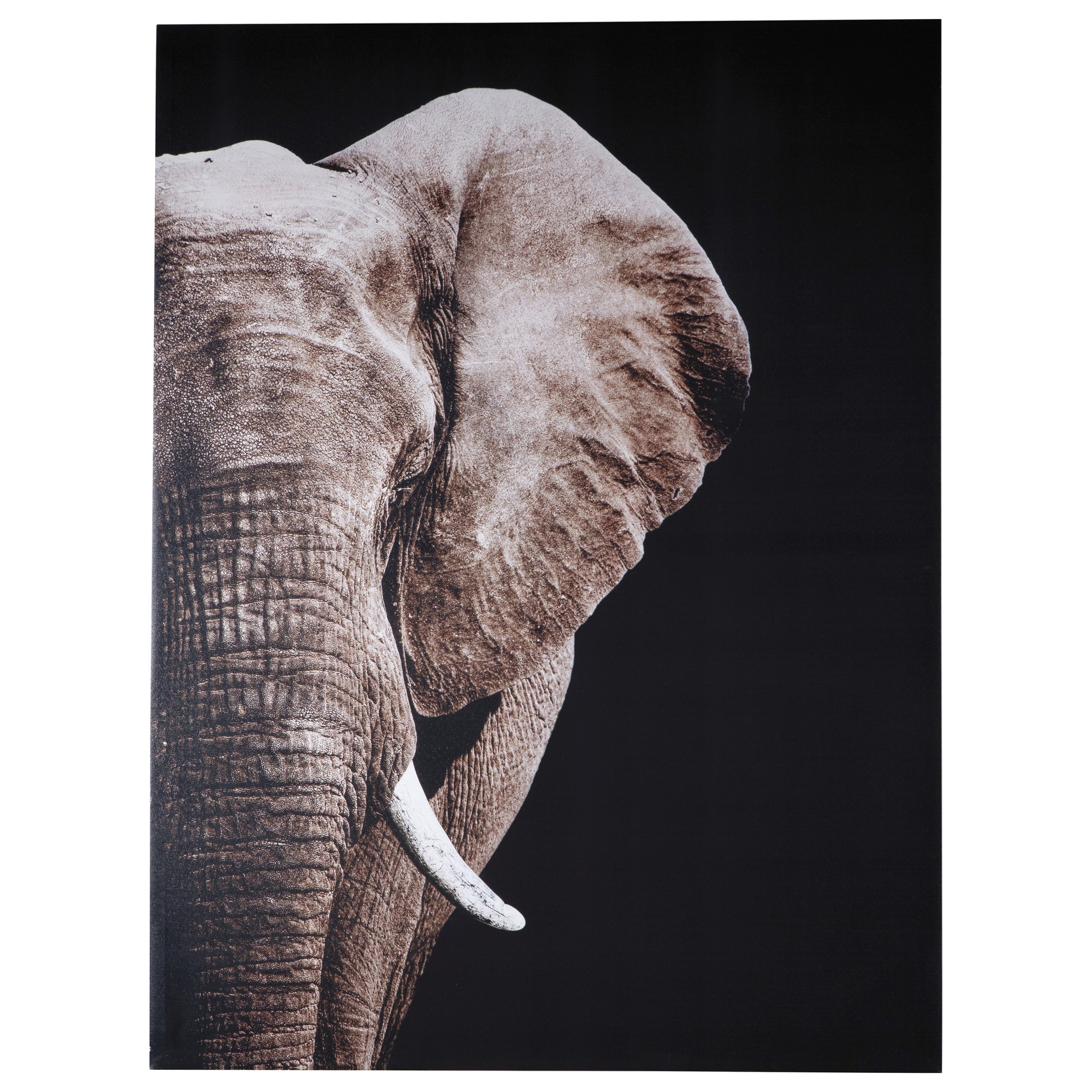 Signature Design by Ashley Wall Art Jendayi Elephant Black/White/Gray